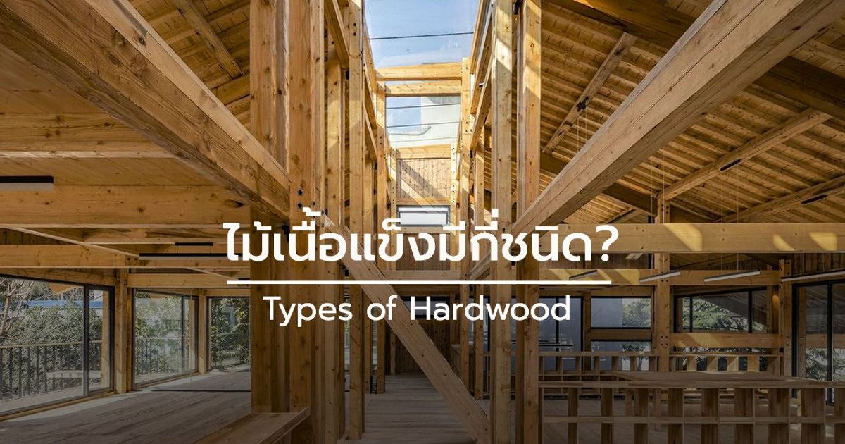 ไม้เนื้อแข็งมีกี่ชนิด? (Types Of Hardwood) | Wazzadu