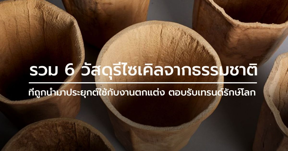 แม่พิมพ์ จาก ธรรมชาติ