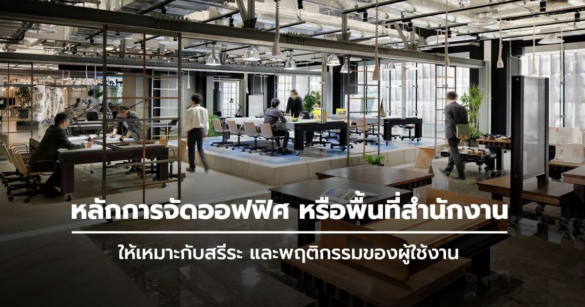 หลักการจัดออฟฟิศ หรือพื้นที่สำนักงาน ให้เหมาะกับสรีระ  และพฤติกรรมของผู้ใช้งาน | Wazzadu