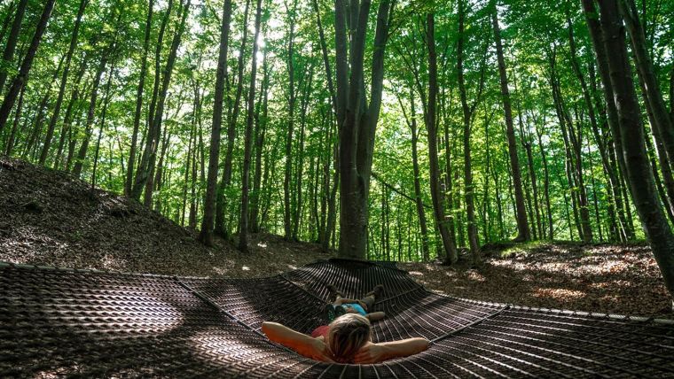 ออกแบบพื้นที่สีเขียวด้วยแนวคิด Forest Bathing สู่สวนบำบัดที่ส่งเสริมสุขภาวะที่ดี ภาพประกอบ