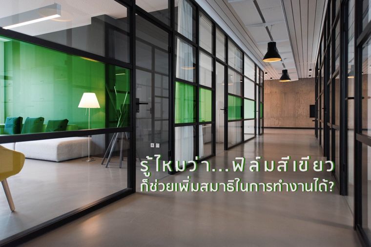 รู้ไหมว่า...ฟิล์มสีเขียวก็ช่วยเพิ่มสมาธิในการทำงานได้? ภาพประกอบ