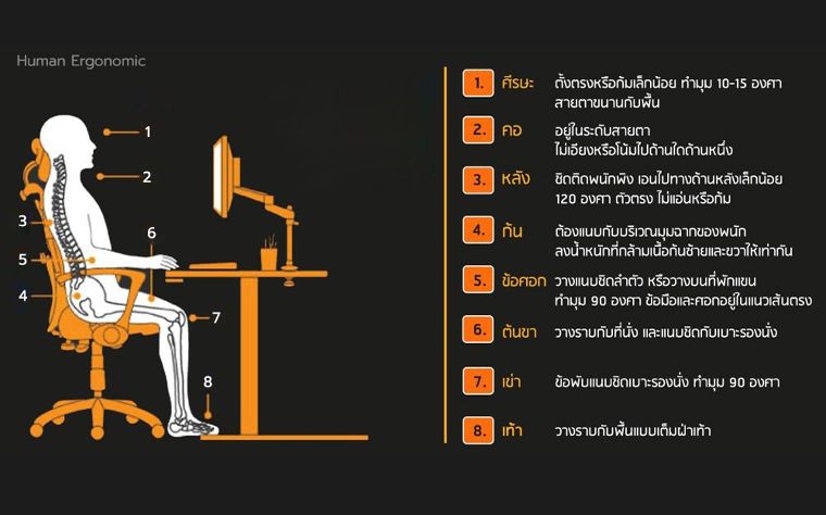 ข้อมูลวัสดุศาสตร์ เก้าอี้ทำงานเพื่อสุขภาพตามหลักการยศาสตร์ หรือ Ergonomic Chair Design ภาพประกอบ
