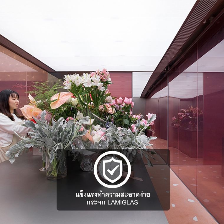 เปลี่ยนบรรยากาศภายในห้องทำงานให้ดูหรูหรา และสดใสด้วยผนังกระจก Lamiglas  ภาพประกอบ