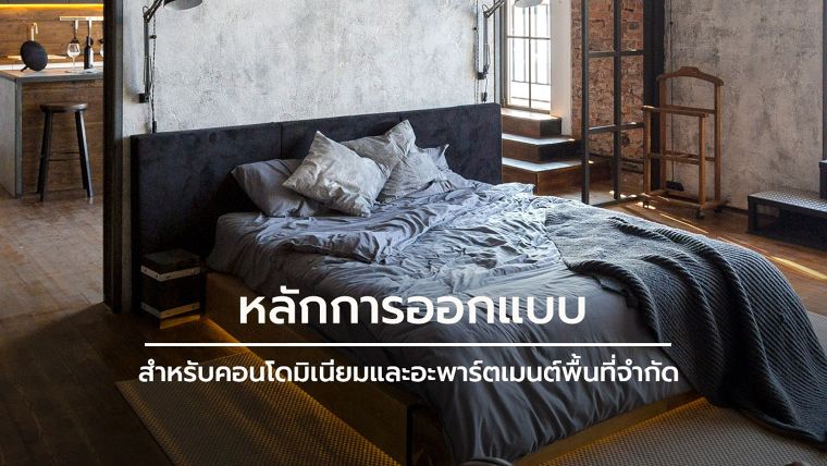 หลักการออกแบบภายใน คอนโดมิเนียมและอะพาร์ตเมนต์พื้นที่จำกัด ภาพประกอบ