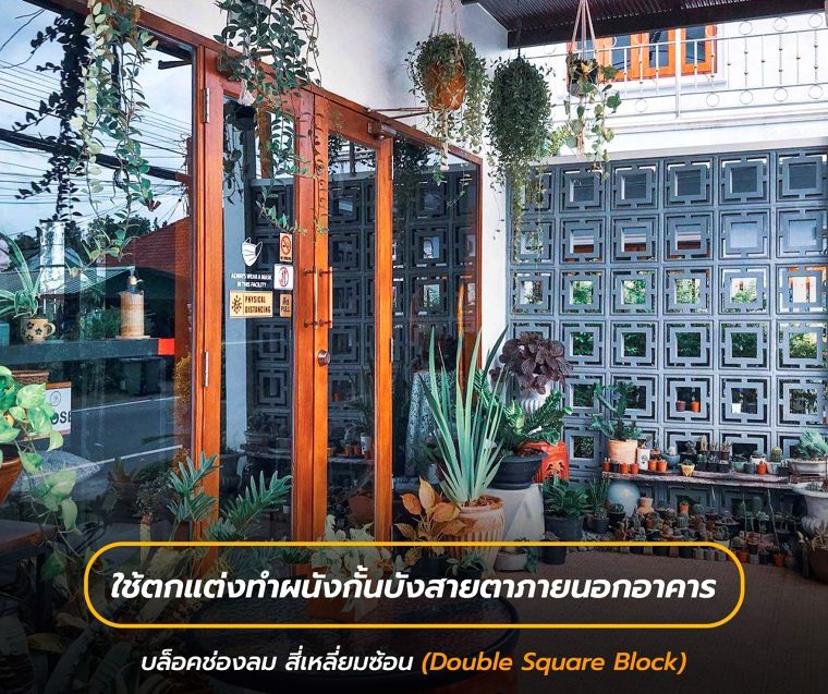 ใช้ตกแต่งทำผนังกั้นบังสายตาภายนอกอาคาร

และยังเป็นองค์ประกอบส่วนหนึ่งในการจัดสวนขนาดเล็กน่ารัก เพื่อให้เป็นมุมถ่ายรูปของคาเฟ่ดังกล่าว
