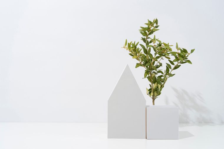 ไขคำตอบ ทำไม "ไม้" จัดเป็นวัสดุ Low Carbon Material ภาพประกอบ