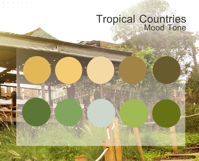 ทำไม Tropical Countries ถึงมาแรง ? ภาพประกอบ