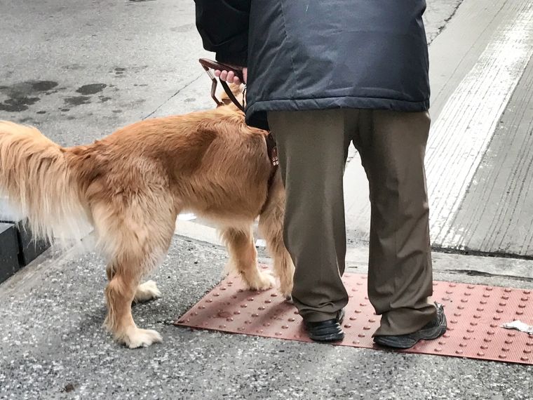 หลักการออกแบบทางเดินสำหรับผู้พิการทางสายตา (Tactile Paving Universal Design in Accessible Urban Landscapes) ภาพประกอบ