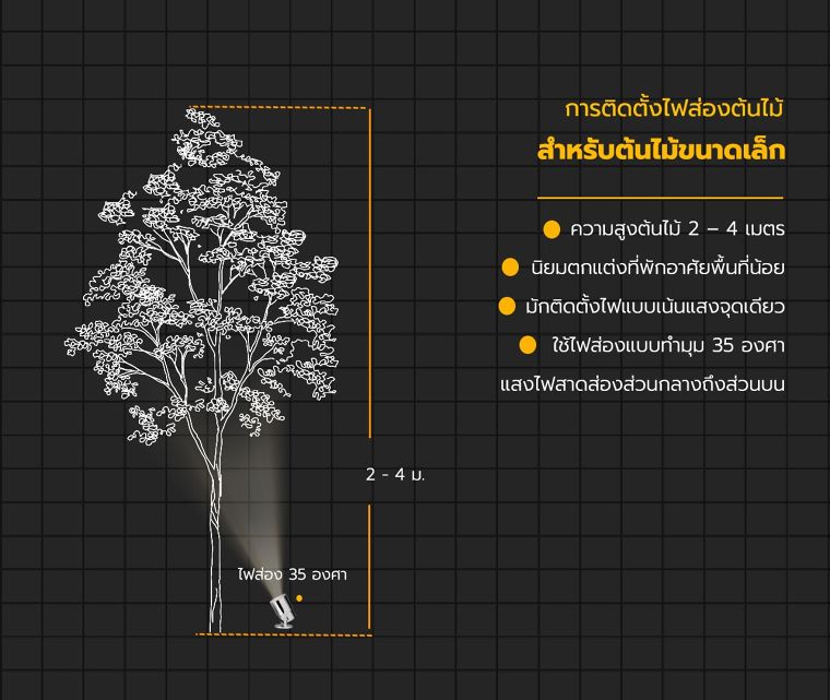 หลักการออกแบบจัดวางตำแหน่งไฟส่องต้นไม้ และไฟทางเดินสำหรับงานจัดแสงภูมิทัศน์ ภาพประกอบ