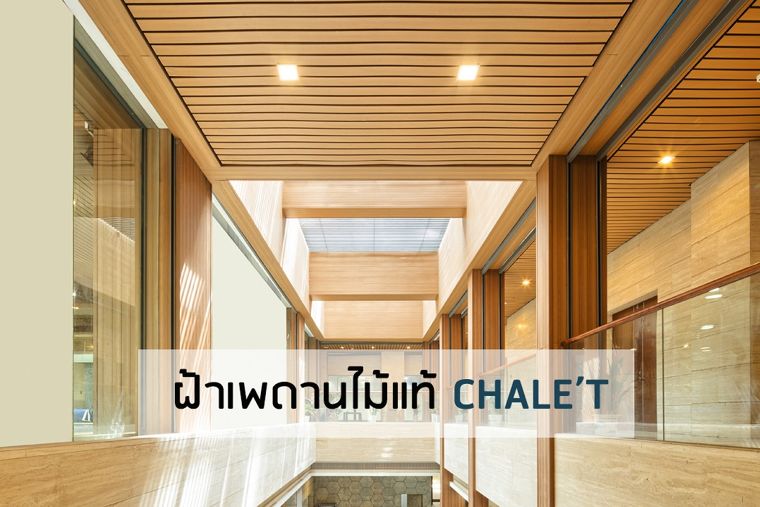 สีสวยเป็นธรรมชาติ! ติดตั้งง่าย ประหยัดเวลา ด้วยฝ้าเพดานไม้แท้จาก Chale't | Wazzadu สีสวยเป็นธรรมชาติ! ติดตั้งง่าย ประหยัดเวลา ด้วยฝ้าเพดานไม้แท้จาก Chale'T | Wazzadu