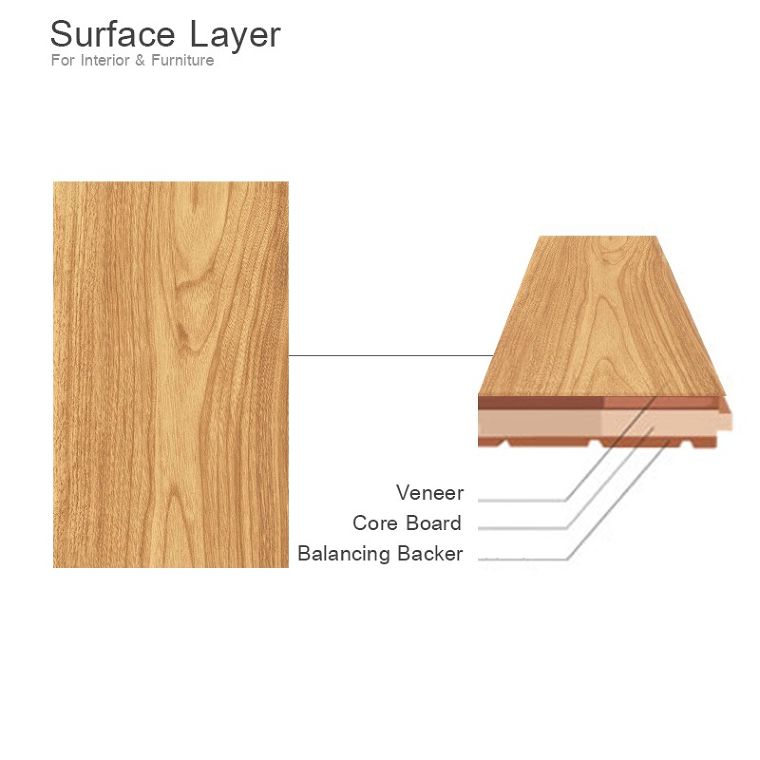 ไม้วีเนียร์ (Wood Veneer) คืออะไร มีกี่ประเภท และมีคุณสมบัติข้อดี-ข้อเสียอย่างไร ภาพประกอบ