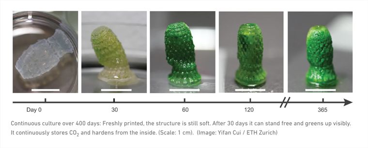 วัสดุชีวภาพ “Picoplanktonics” ที่ดักจับคาร์บอนแล้วเปลี่ยนให้เป็นอากาศที่สะอาดมากขึ้นกว่าเดิม ภาพประกอบ