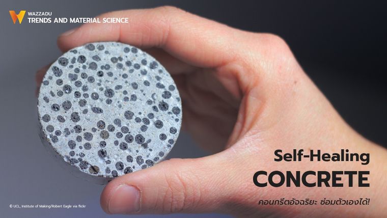 Self-Healing Concrete คอนกรีตอัจฉริยะ ซ่อมตัวเองได้ !!! ภาพประกอบ