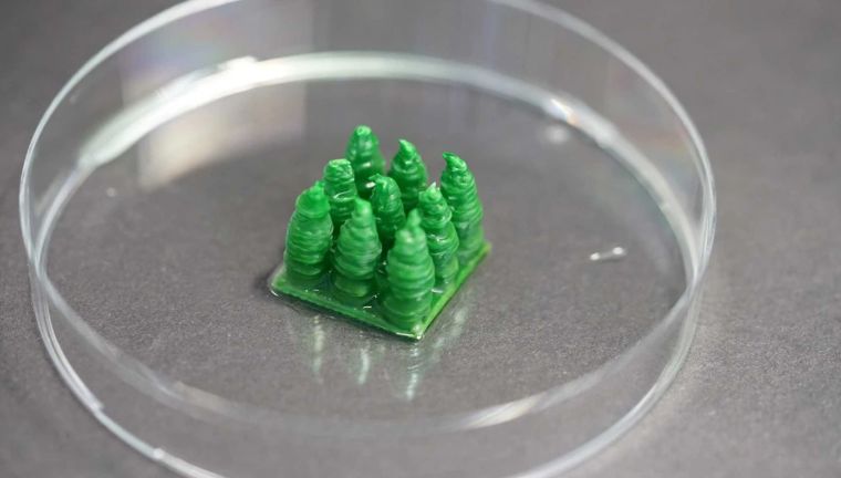 วัสดุชีวภาพ “Picoplanktonics” ที่ดักจับคาร์บอนแล้วเปลี่ยนให้เป็นอากาศที่สะอาดมากขึ้นกว่าเดิม ภาพประกอบ