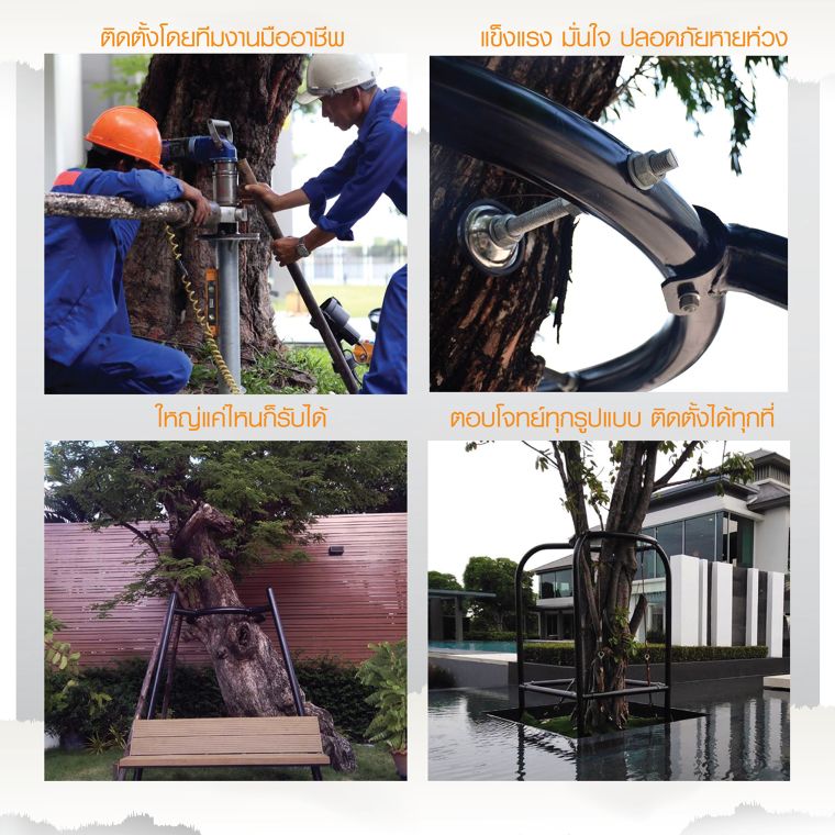 สู้ปัญหา PM 2.5 ด้วยปราการต้นไม้ดักฝุ่น ภาพประกอบ