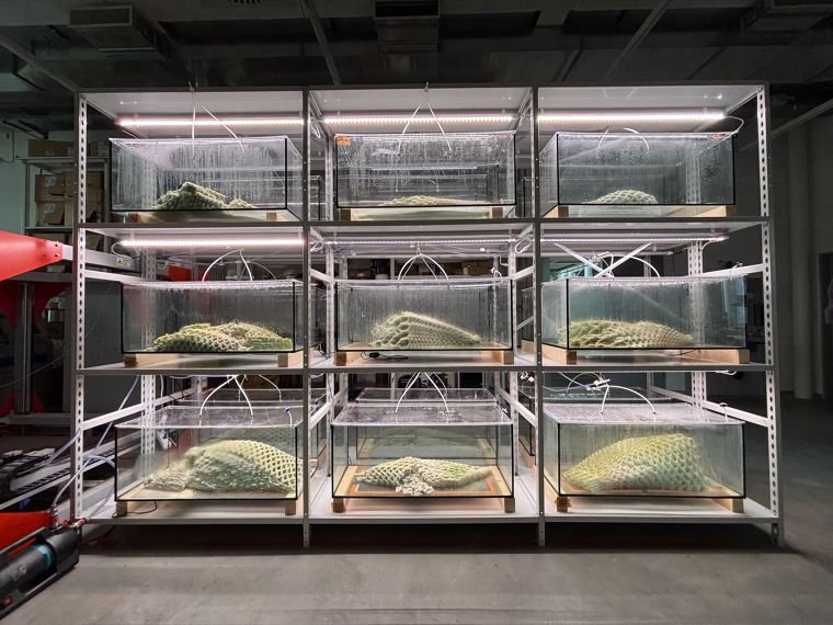 วัสดุชีวภาพ “Picoplanktonics” ที่ดักจับคาร์บอนแล้วเปลี่ยนให้เป็นอากาศที่สะอาดมากขึ้นกว่าเดิม ภาพประกอบ