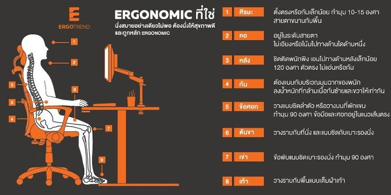 ปิดฉากออฟฟิศซินโดรม! กับเก้าอี้สุขภาพ “Ergonomic Chair” นั่งนานแค่ไหนก็สบายไร้อาการเมื่อย ภาพประกอบ