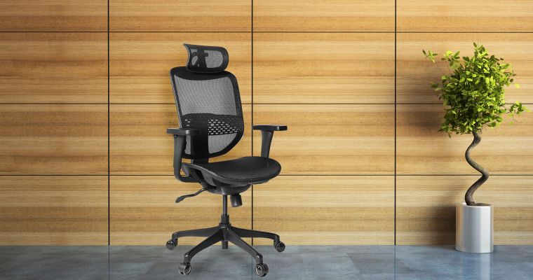 ปิดฉากออฟฟิศซินโดรม! กับเก้าอี้สุขภาพ “Ergonomic Chair” นั่งนานแค่ไหนก็สบายไร้อาการเมื่อย ภาพประกอบ