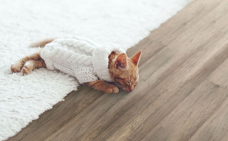  “Organic Flooring” นวัตกรรมพื้นทางเลือกใหม่ ที่ปลอดภัยและใส่ใจต่อสุขภาพ จาก WINEO PURLINE  ! ภาพประกอบ