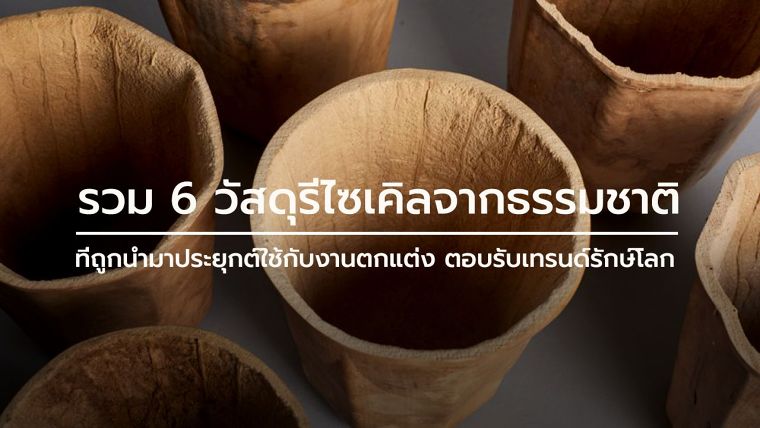 รวม 6 วัสดุรีไซเคิลจากธรรมชาติ ที่ถูกนำมาประยุกต์ใช้กับงานตกแต่ง  ตอบรับเทรนด์รักษ์โลก | Wazzadu