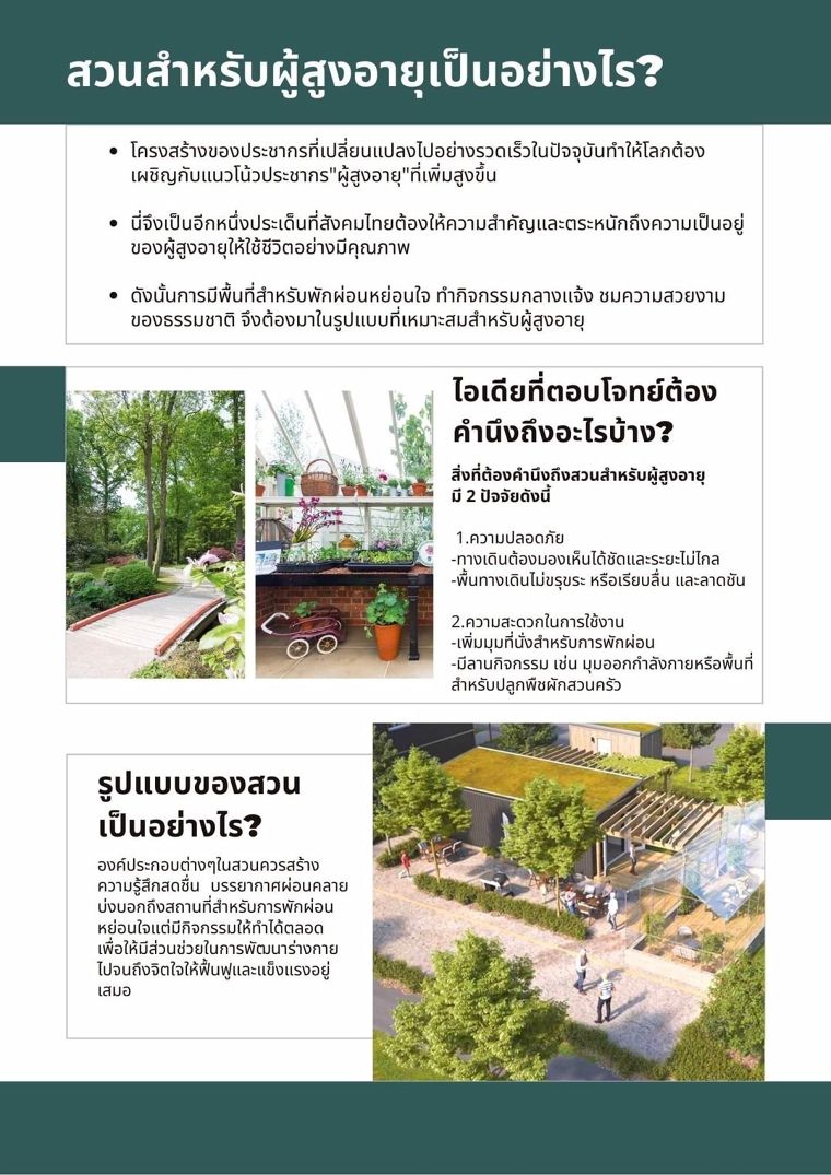 จัดสวนให้เหมาะสมสำหรับผู้สูงอายุ | Wazzadu จัดสวนให้เหมาะสมสำหรับผู้สูงอายุ | Wazzadu