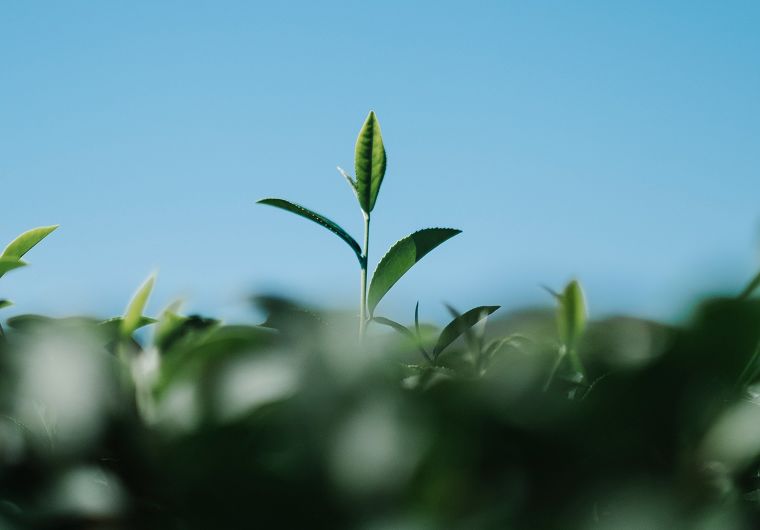 รู้จักกับมาตรฐาน ISO 14064 และ ISO 14067 ที่เกี่ยวกับการลดคาร์บอนไดออกไซด์ขององค์กรและผลิตภัณฑ์ ภาพประกอบ