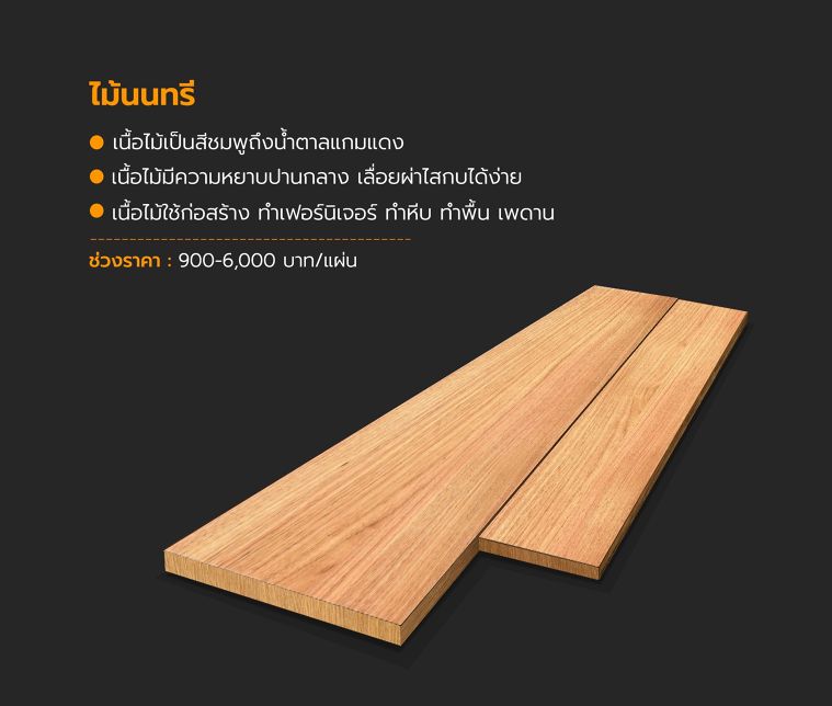 ไม้เนื้อแข็งปานกลาง ที่ใช้ในงานก่อสร้าง มีกี่ชนิด? ภาพประกอบ