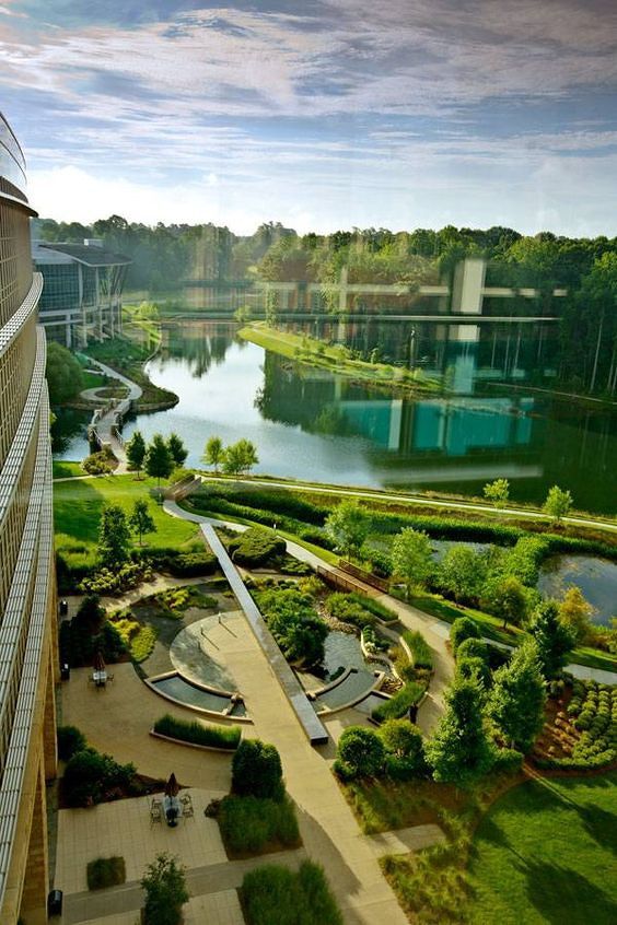 Landscape of Inspiration เมื่อพื้นที่สีเขียวกระตุ้นให้เกิดความคิดสร้างสรรค์ ภาพประกอบ