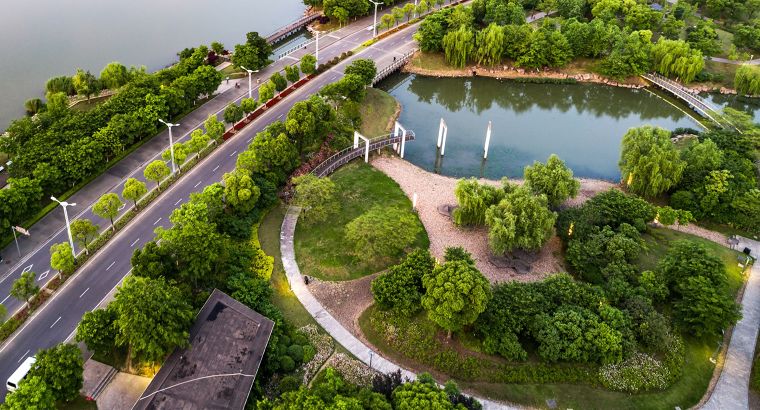 จากแนวคิด Rewilding สู่การออกแบบ Urban Rewilding ที่ฟื้นฟูธรรมชาติในพื้นที่เมือง ภาพประกอบ