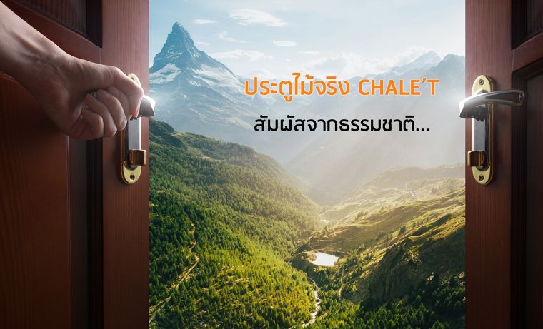 เปิดประตู สู่ธรรมชาติ เพื่อสุนทรียะของชีวิต ด้วยแนวคิด Biophillic Design ภาพประกอบ