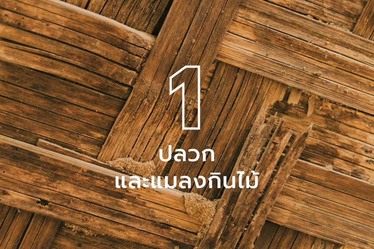 3 ปัญหาใหญ่ของไม้จริงที่แก้ไขง่าย ๆ ด้วยไม้ WPC ภาพประกอบ