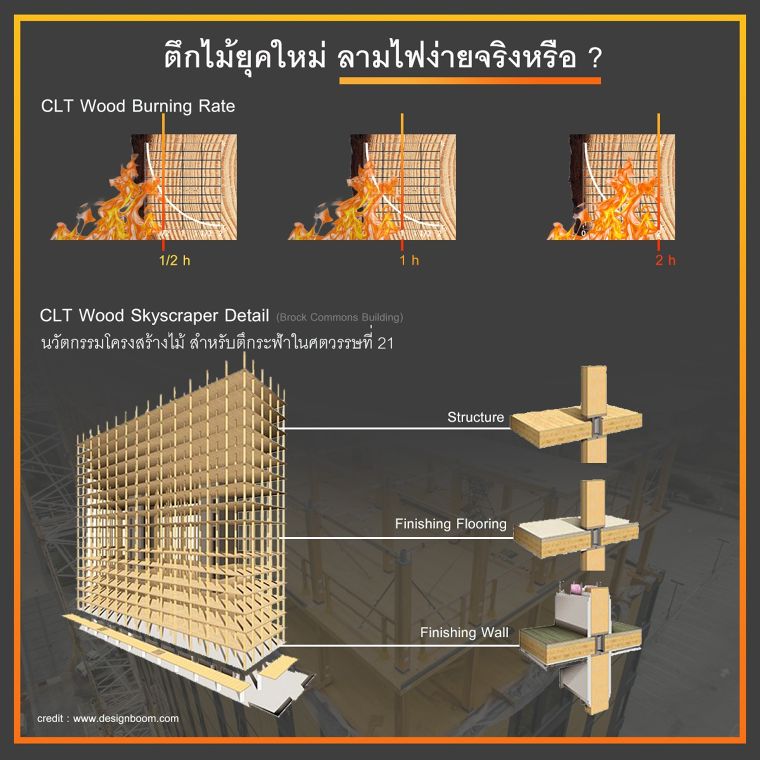 Cross-Laminated Timber หรือไม้แปรรูป CLT นวัตกรรมโครงสร้างไม้สำหรับตึกระฟ้าในศตวรรษที่ 21 ภาพประกอบ