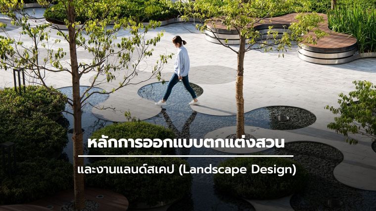 หลักการออกแบบตกแต่งสวนและงานแลนด์สเคป | Wazzadu หลักการออกแบบตกแต่งสวนและงานแลนด์สเคป | Wazzadu