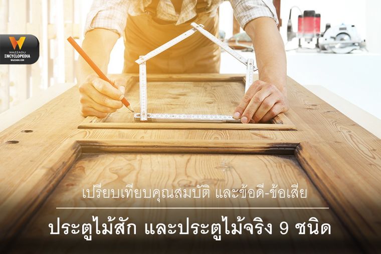 เปรียบเทียบคุณสมบัติ และข้อดี-ข้อเสีย ประตูไม้สัก และประตูไม้จริง 9 ชนิด  ภาพประกอบ