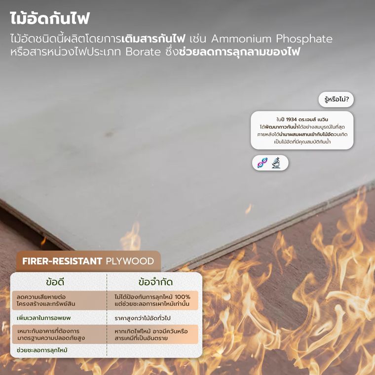 วิวัฒนาการนวัตกรรมวัสดุไม้อัด Evolution of Plywood Innovation Series ภาพประกอบ