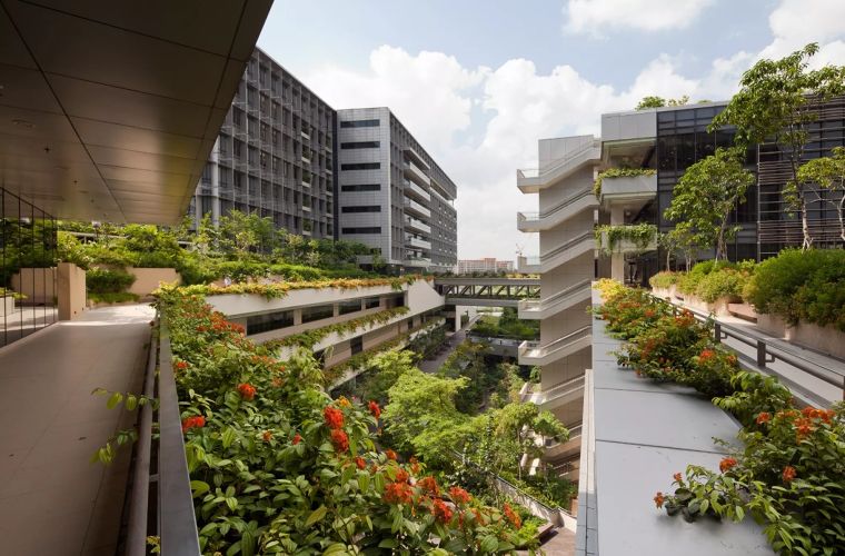 โรงพยาบาลในสวน Khoo Teck Puat Hospital (คูเต็กพวต) โมเดลการออกแบบอสังหาฯ คาร์บอนต่ำเพื่อสุขภาวะที่แท้จริง ภาพประกอบ
