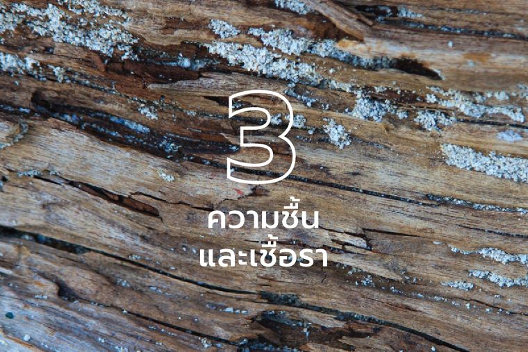 3 ปัญหาใหญ่ของไม้จริงที่แก้ไขง่าย ๆ ด้วยไม้ WPC ภาพประกอบ