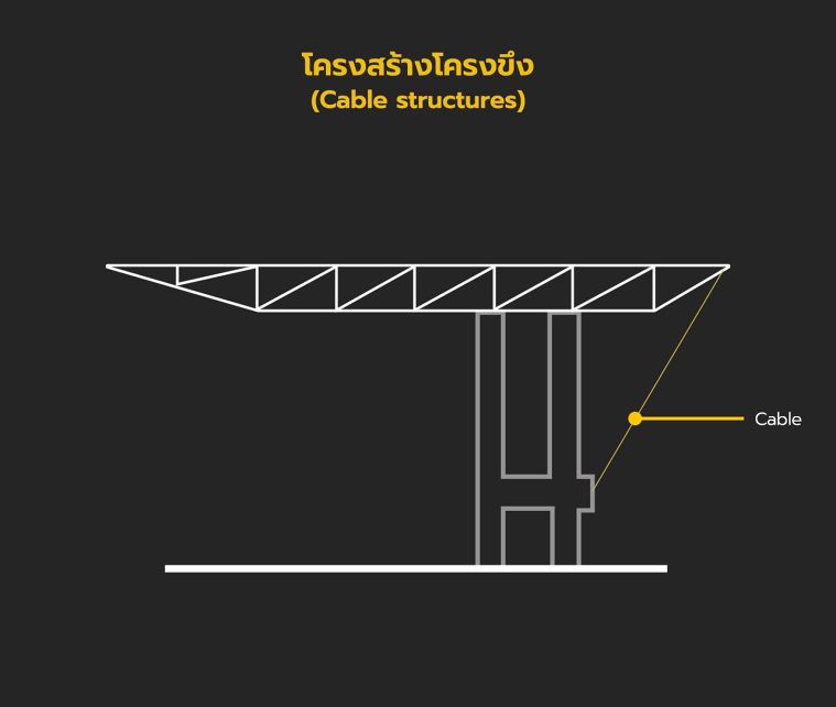 ตัวอย่างโครงสร้างโครงขึงหลังคาอเนกประสงค์ (ขนาดใหญ่)

