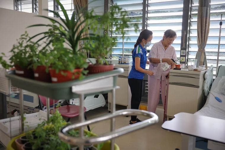 โรงพยาบาลในสวน Khoo Teck Puat Hospital (คูเต็กพวต) โมเดลการออกแบบอสังหาฯ คาร์บอนต่ำเพื่อสุขภาวะที่แท้จริง ภาพประกอบ