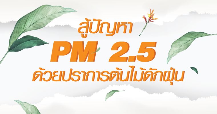 สู้ปัญหา PM 2.5 ด้วยปราการต้นไม้ดักฝุ่น ภาพประกอบ