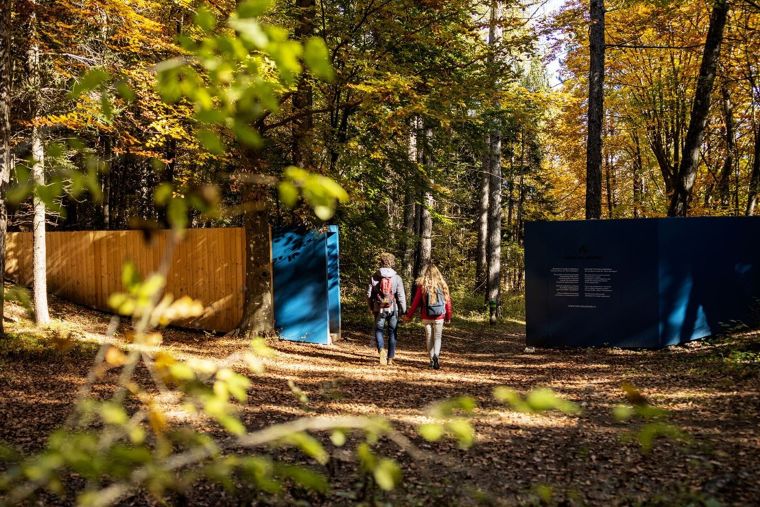 ออกแบบพื้นที่สีเขียวด้วยแนวคิด Forest Bathing สู่สวนบำบัดที่ส่งเสริมสุขภาวะที่ดี ภาพประกอบ