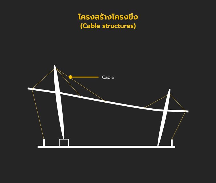 ตัวอย่างโครงสร้างโครงขึงหลังคาอเนกประสงค์ (ขนาดกลาง)
