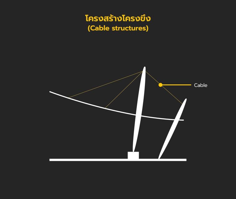 ตัวอย่างโครงสร้างโครงขึงหลังคาอเนกประสงค์ (ขนาดเล็ก)

