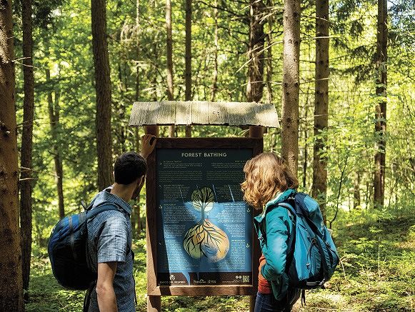ออกแบบพื้นที่สีเขียวด้วยแนวคิด Forest Bathing สู่สวนบำบัดที่ส่งเสริมสุขภาวะที่ดี ภาพประกอบ