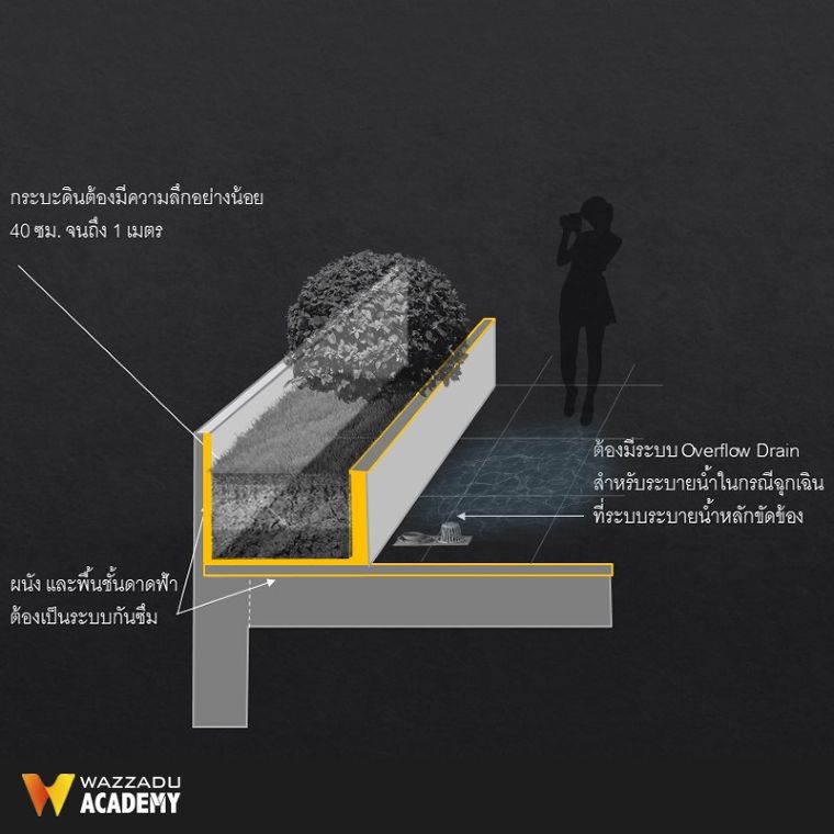 หลักการออกแบบสวนดาดฟ้า : การจัดเตรียมพื้นที่ดาดฟ้า การเลือกประเภทพรรณไม้ วัสดุตกแต่ง และข้อควรระวัง  ภาพประกอบ