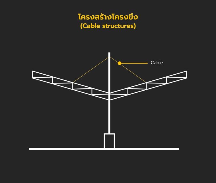 ตัวอย่างโครงสร้างโครงขึงหลังคาที่จอดรถ (ขนาดกลาง)
