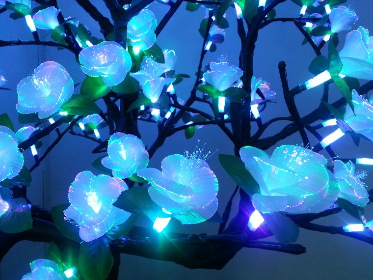 สวนแสงแห่งความฝัน Fiber optic tree ภาพประกอบ