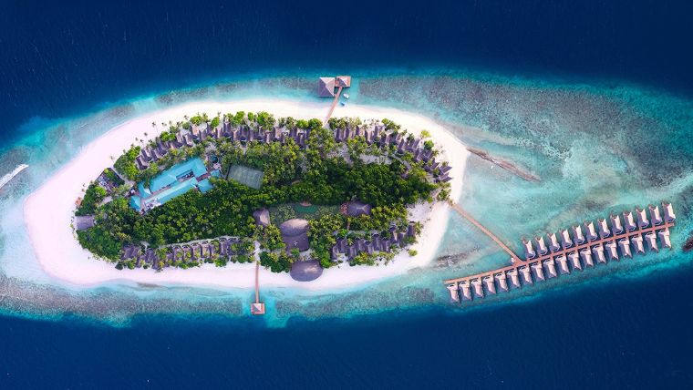 พักร้อนนี้ที่รีสอร์ตหรู "Dream Land Resort" ท่ามกลางความสดชื่น ด้วยบรรยากาศธรรมชาติ จากการตกแต่งด้วยไม้สังเคราะห์เกรดพรีเมี่ยม ภาพประกอบ