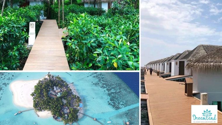 พักร้อนนี้ที่รีสอร์ตหรู "Dream Land Resort" ท่ามกลางความสดชื่น ด้วยบรรยากาศธรรมชาติ จากการตกแต่งด้วยไม้สังเคราะห์เกรดพรีเมี่ยม ภาพประกอบ