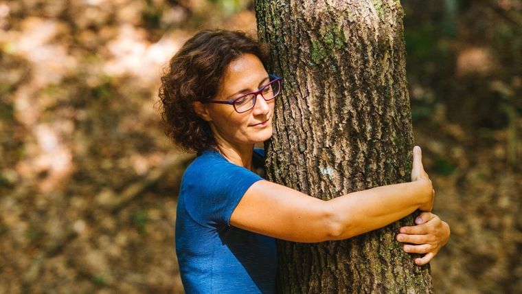 ออกแบบพื้นที่สีเขียวด้วยแนวคิด Forest Bathing สู่สวนบำบัดที่ส่งเสริมสุขภาวะที่ดี ภาพประกอบ